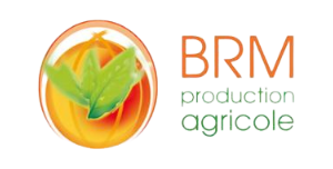 Création d'un site web one page vitrine pour BRM Production Agricole